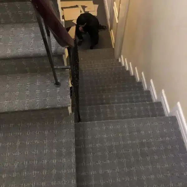 Thảm Thiên Thành - Thảm hoa văn