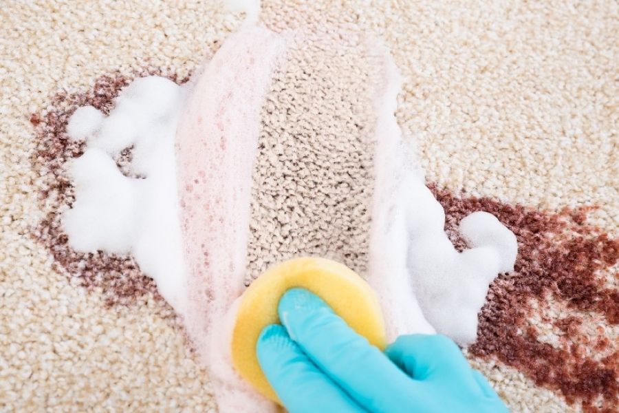 cách giặt thảm trải sàn