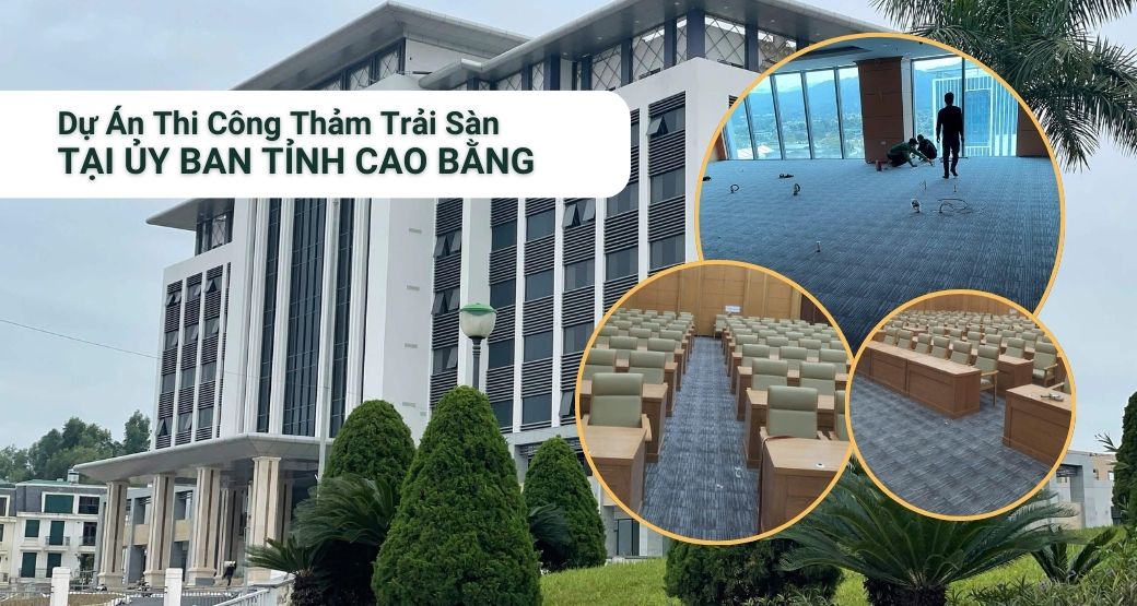 Dự Án Thi Công Thảm Trải Sàn Tại Ủy Ban Tỉnh Cao Bằng | Thảm Thiên Thành